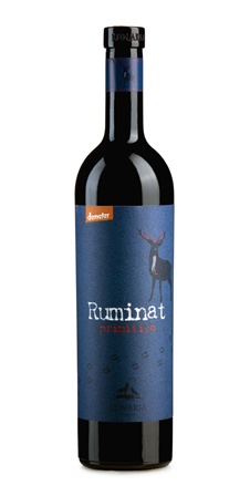 Ruminat Primitivo Terre di Chieti IGP