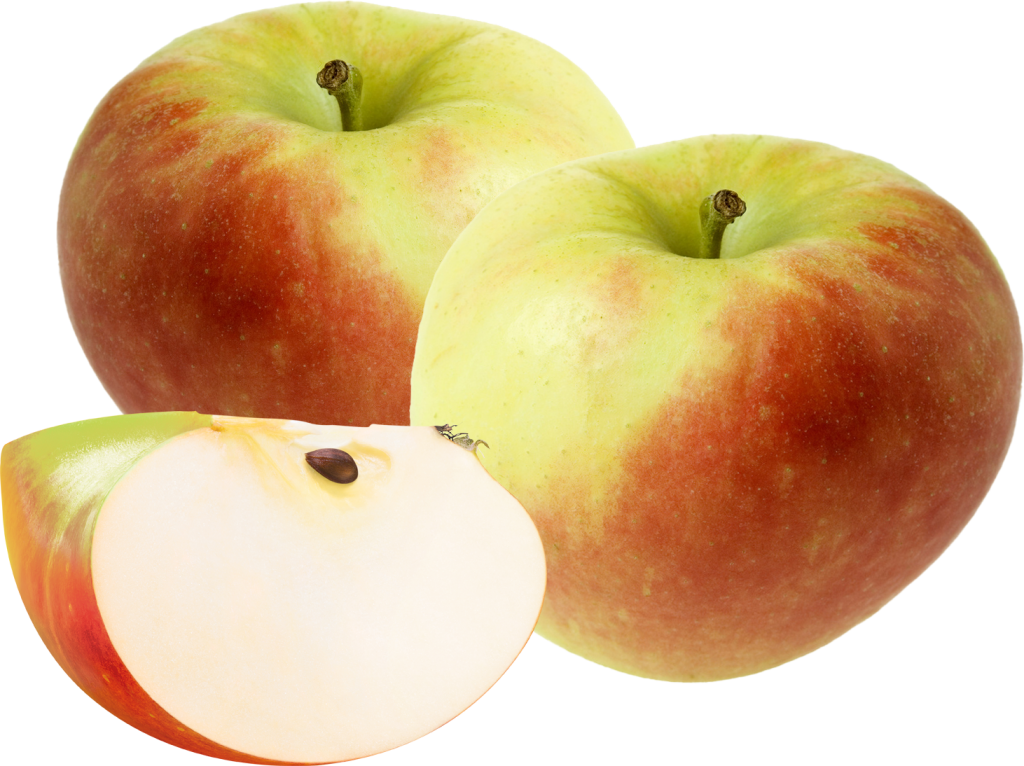 Apfel Elstar