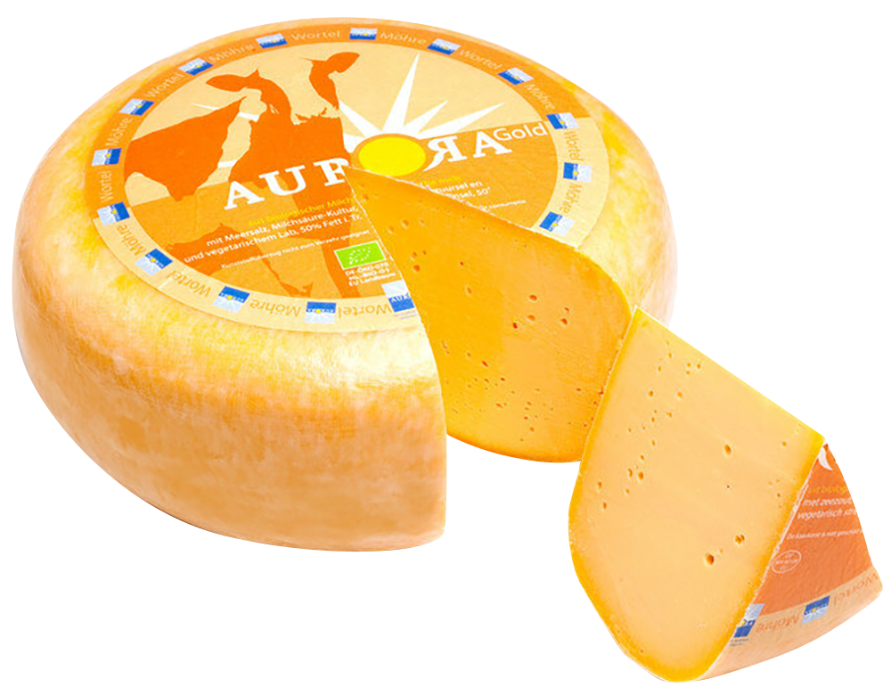 Gouda Möhre