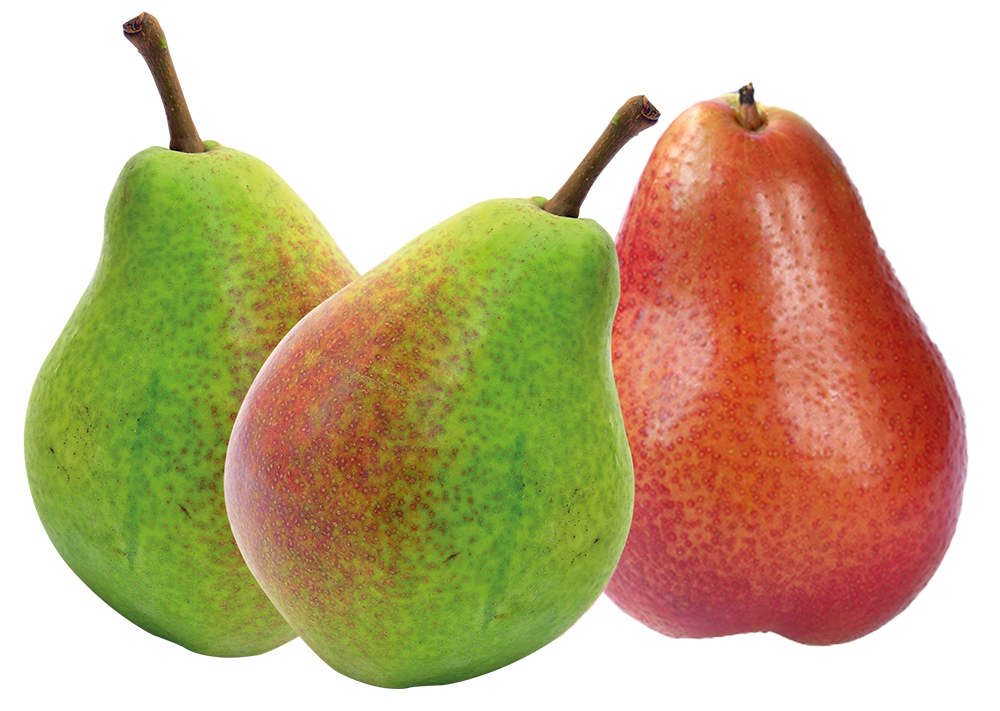 Birnen