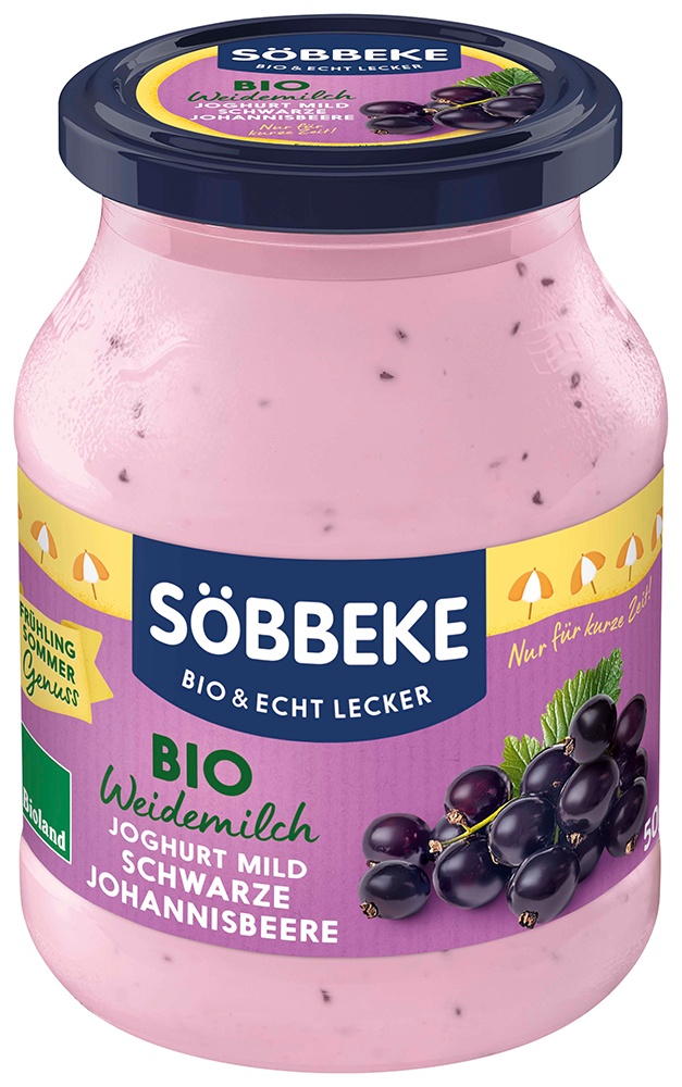 Joghurt Schwarze Johannisbeere 3,8%