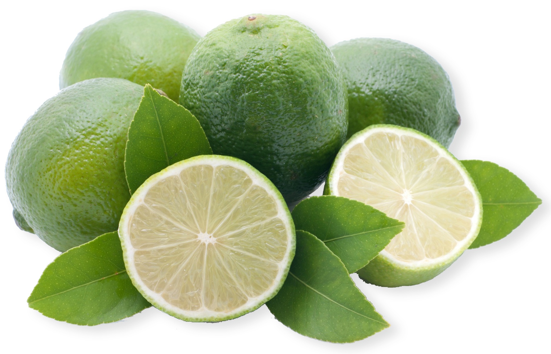 Limetten