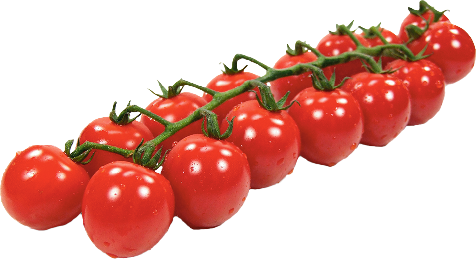 Cocktail-Romastrauchtomate