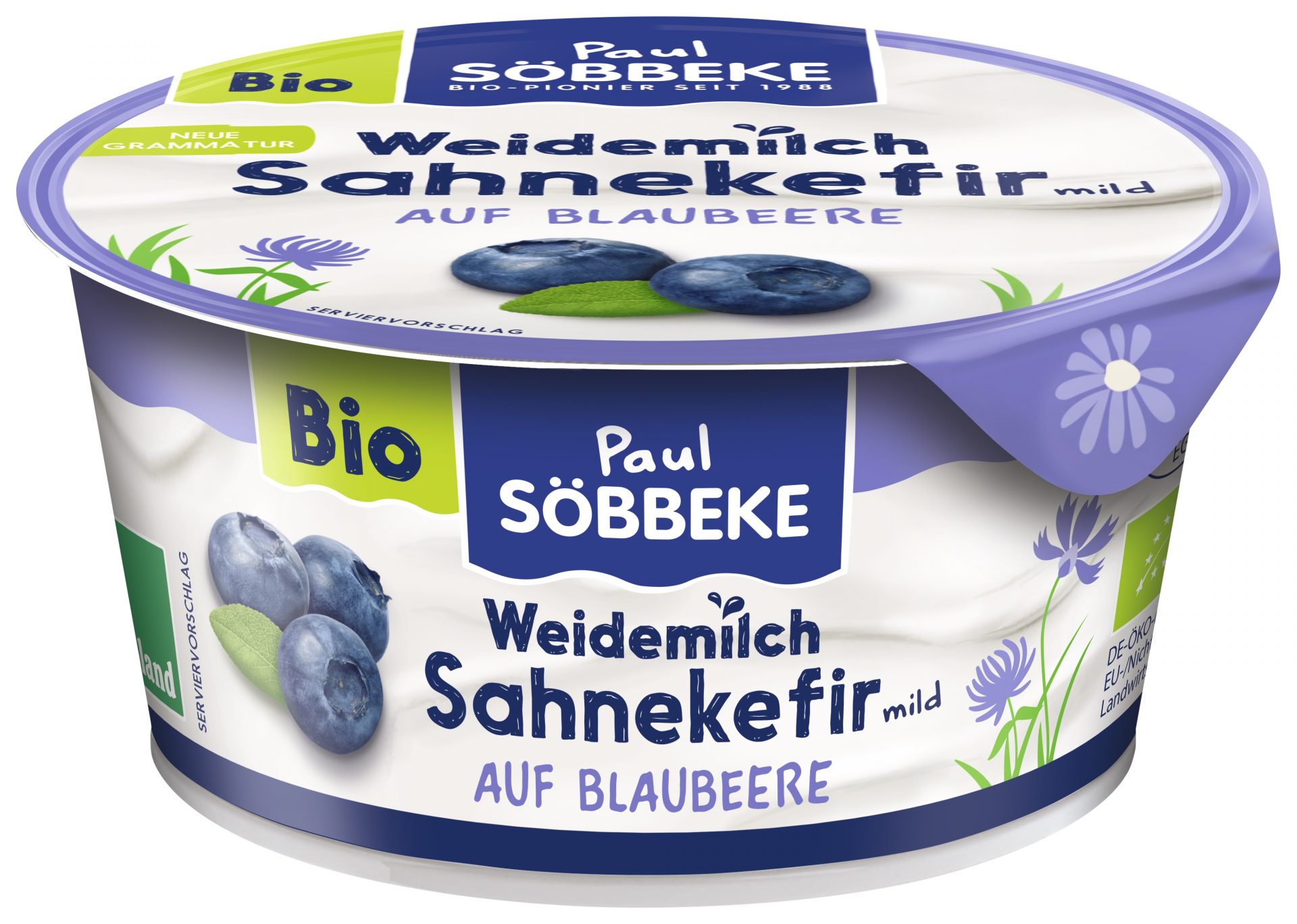 Sahne Kefir auf Blaubeere