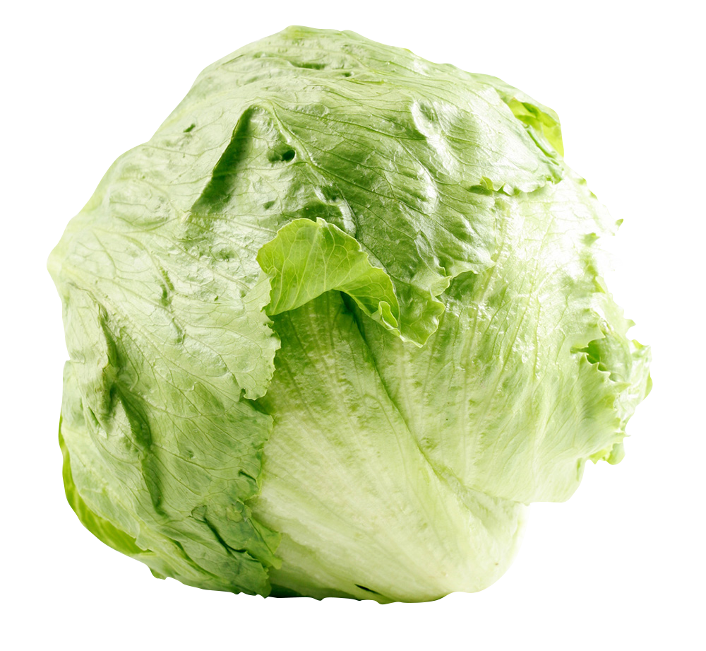 Eisbergsalat
