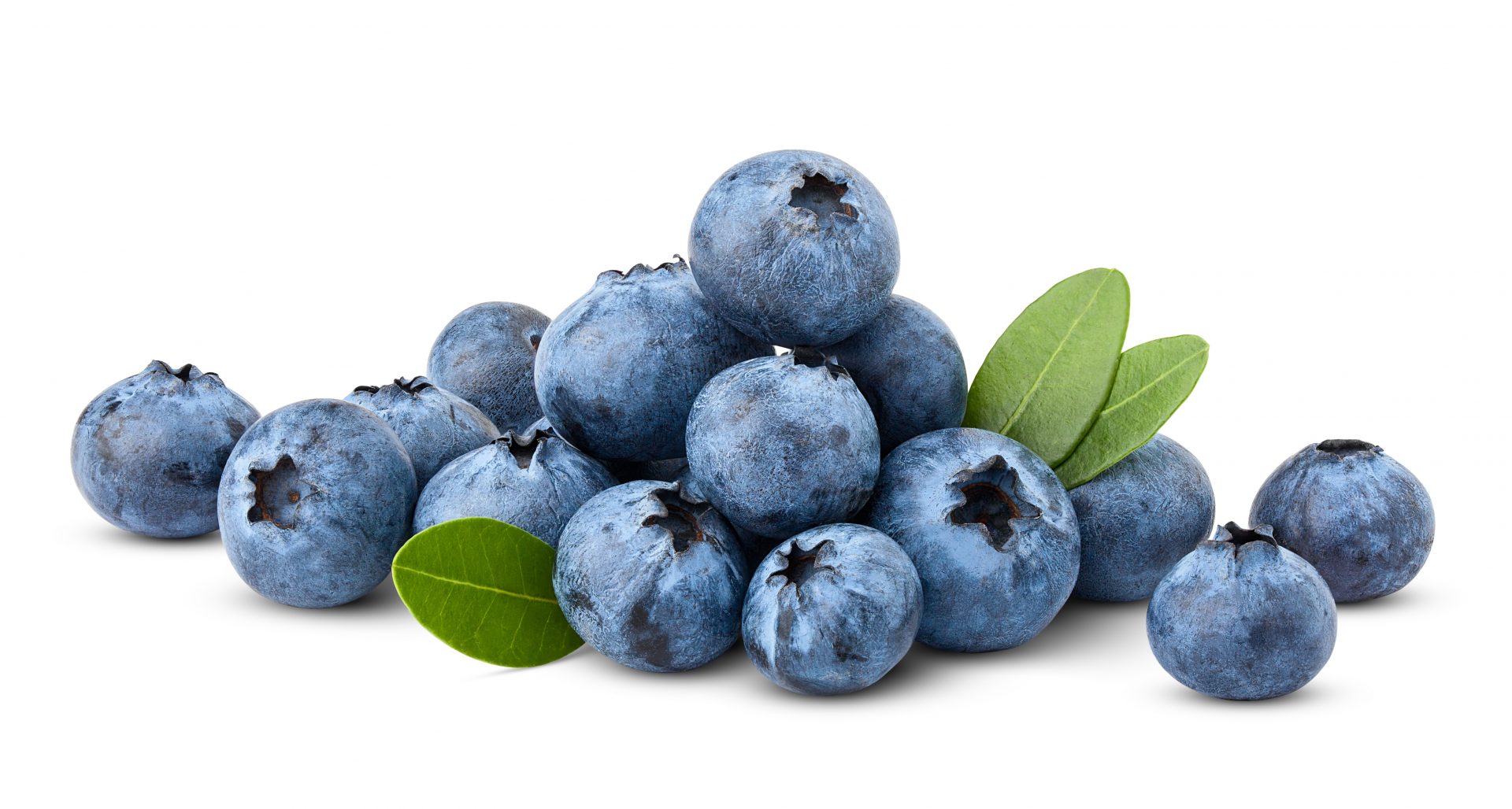 Heidelbeeren in der Schale