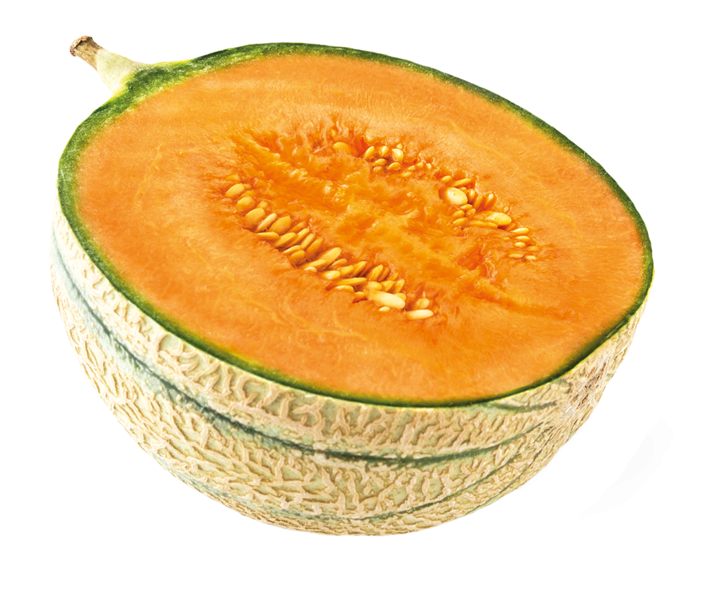 Honigmelone Cantaloupe