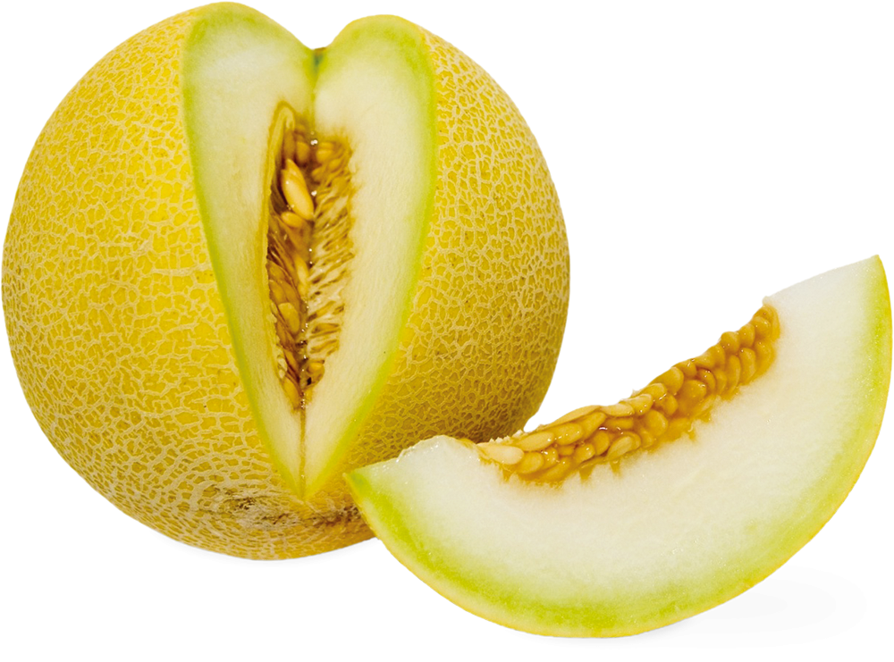 Honigmelone Galia