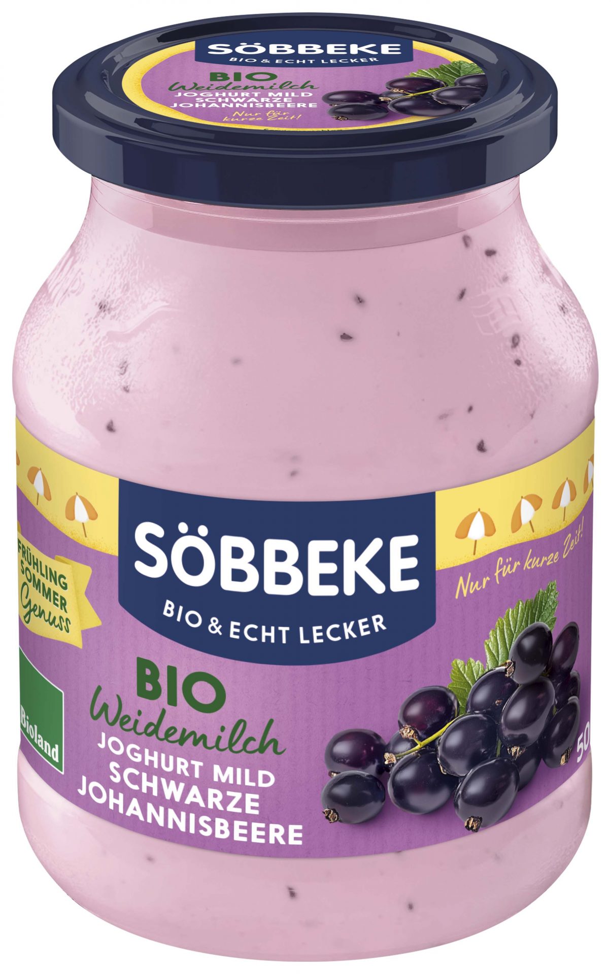 Joghurt Schwarze Johannisbeere 3,8%