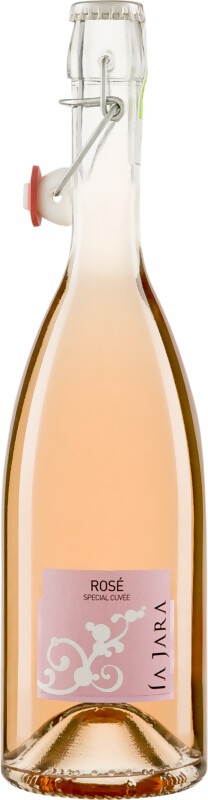 Rosato Frizzante Veneto IGT