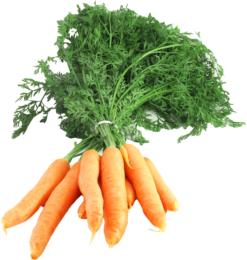 Bundmöhren
