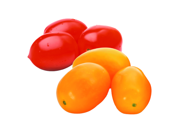 Romatomaten rot und gelb