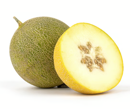 Honigmelone Galia