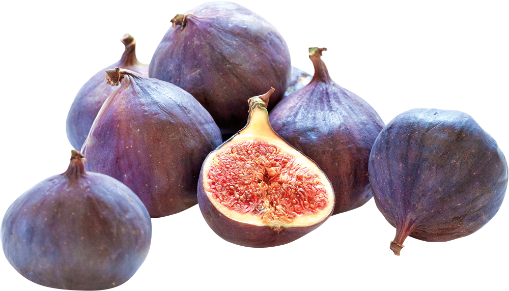 Feigen