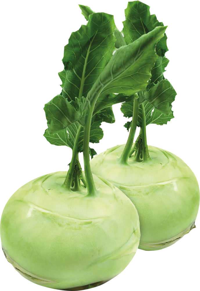 Kohlrabi