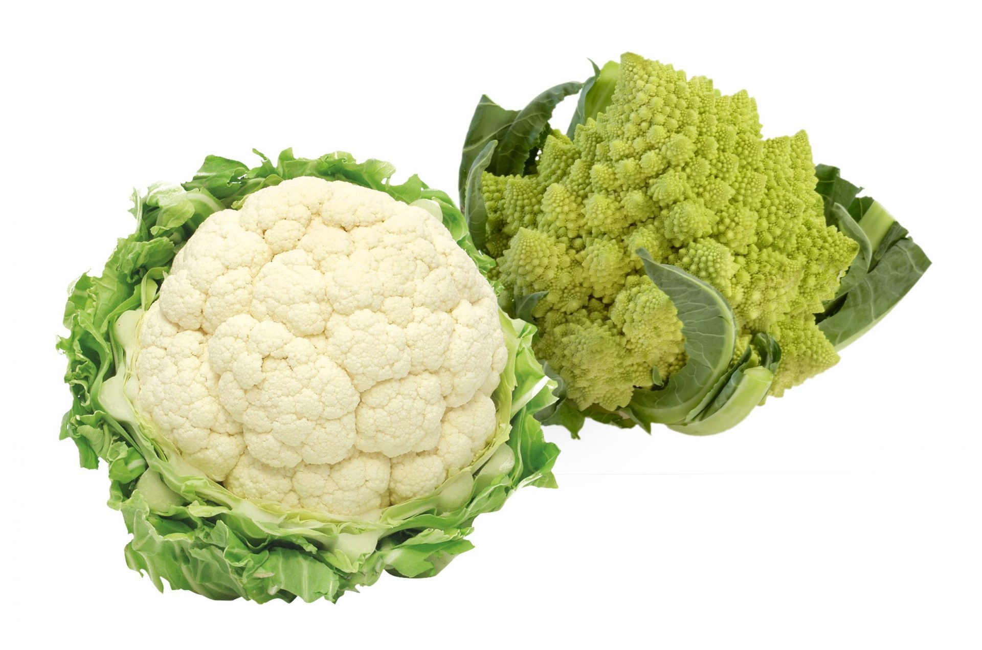 Blumenkohl & Blumenkohl Romanesco