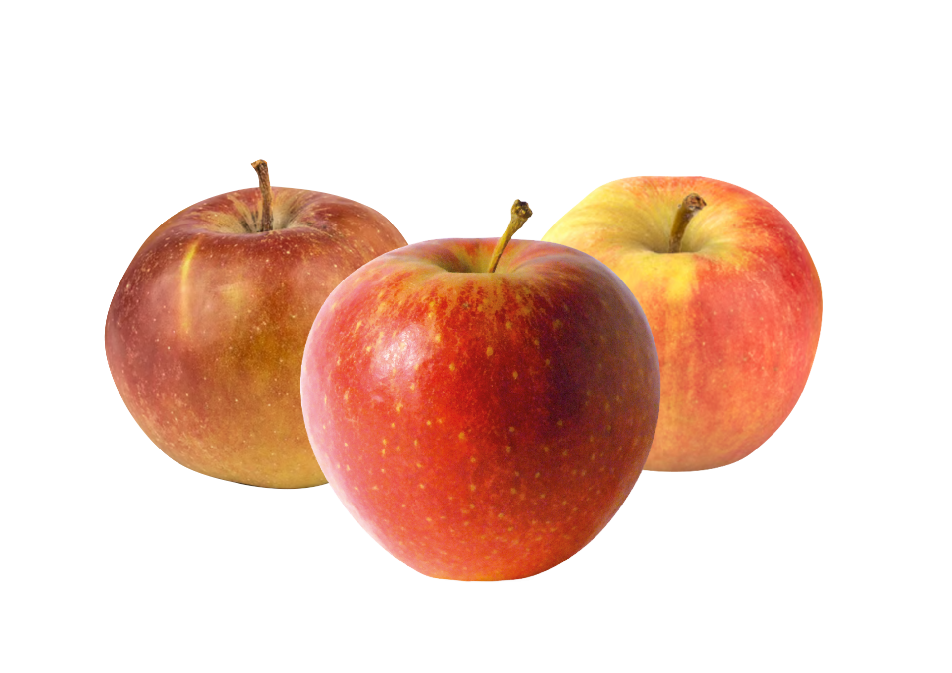 Äpfel verschiedene Sorten