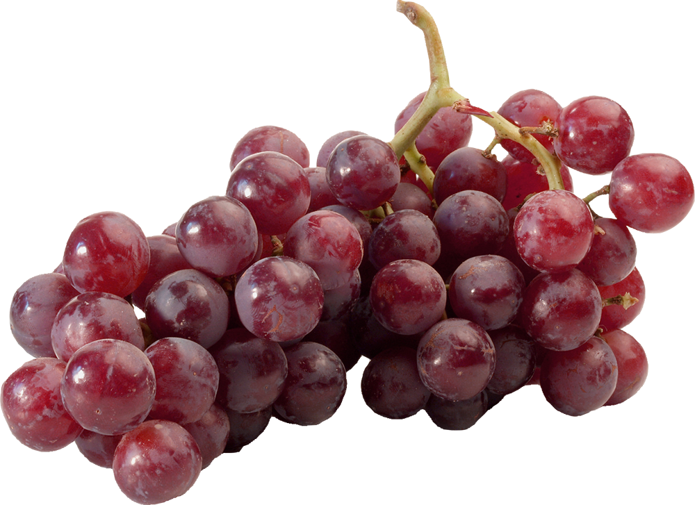 Trauben rot kernlos
