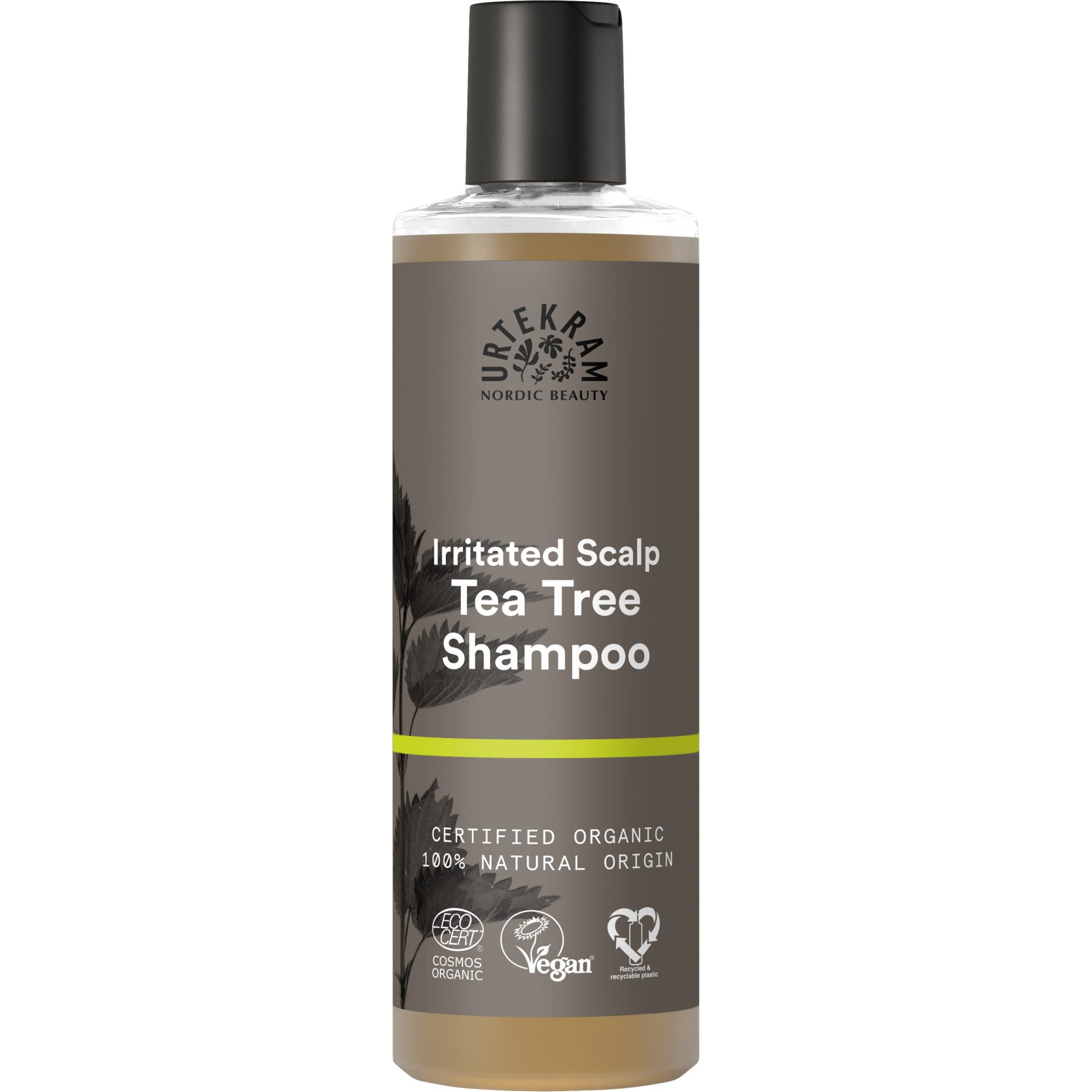 Teebaum Shampoo