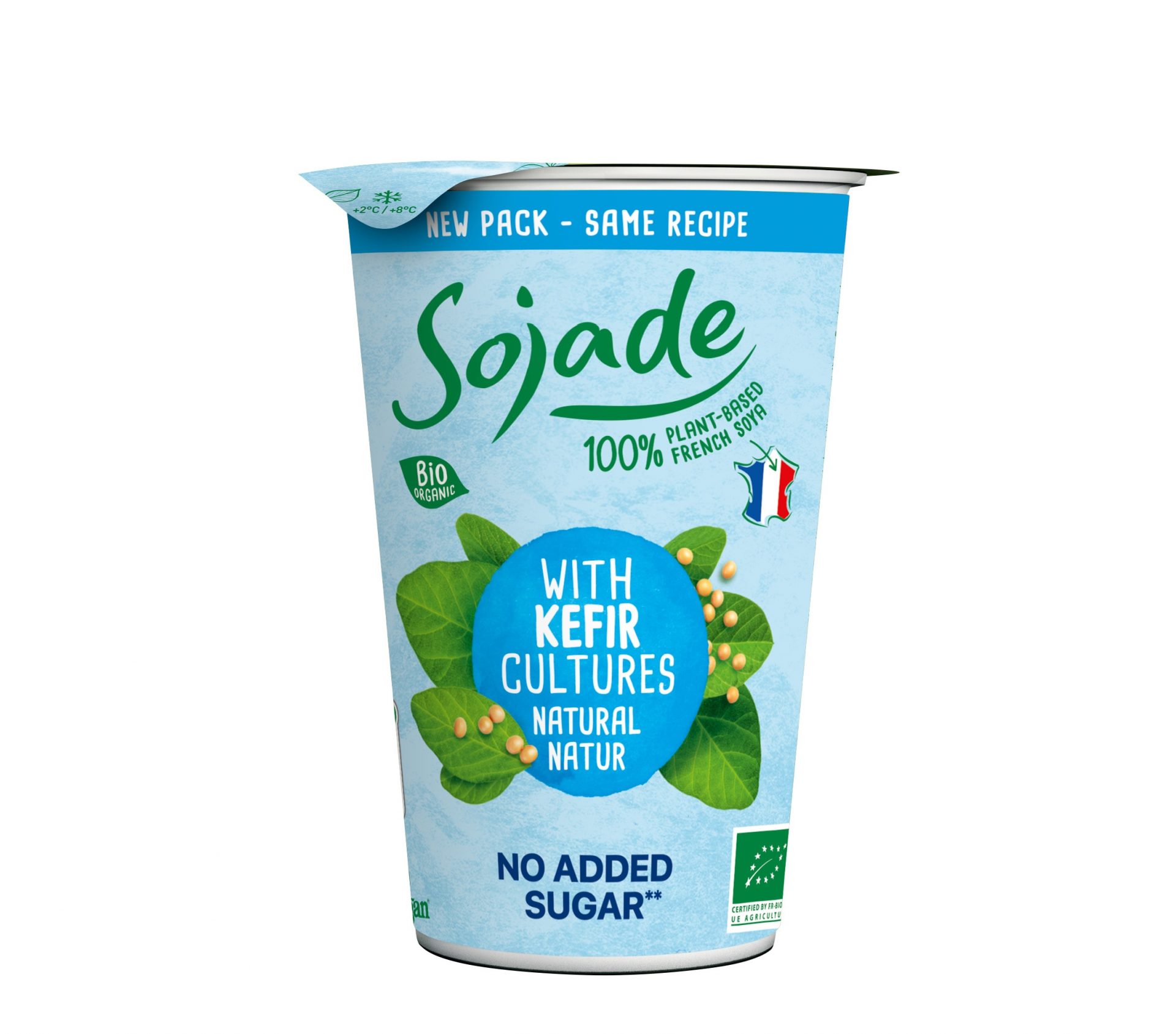 Soja Alternative zu Kefir natur