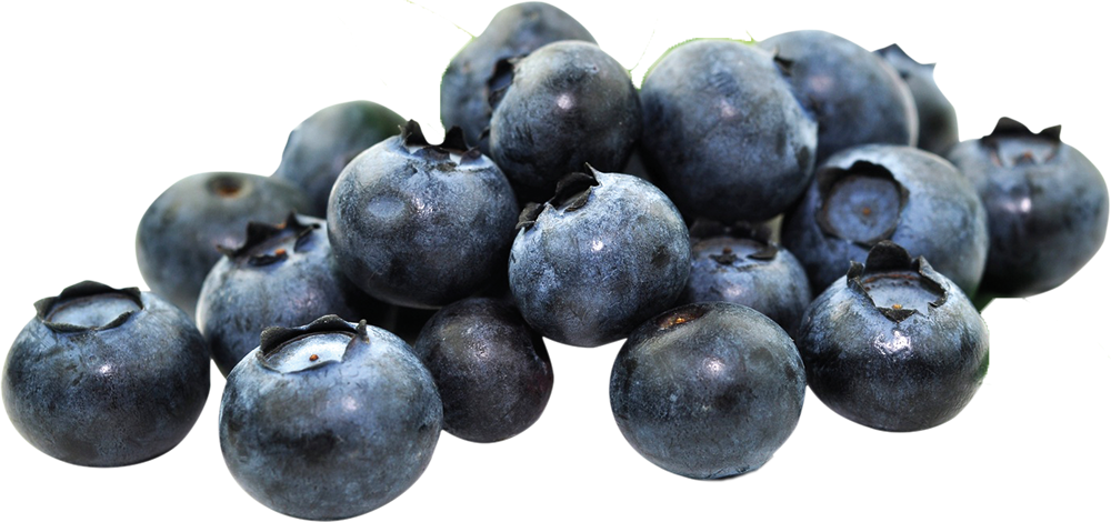 Heidelbeeren in der Schale