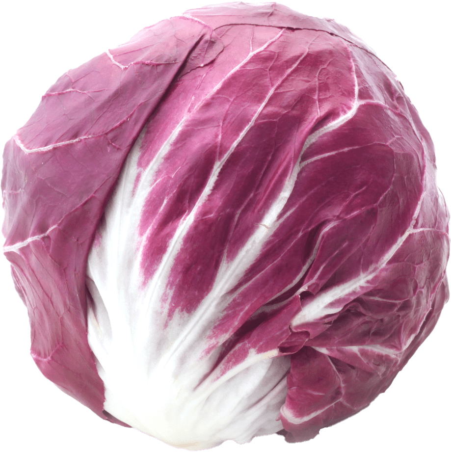 Radicchio