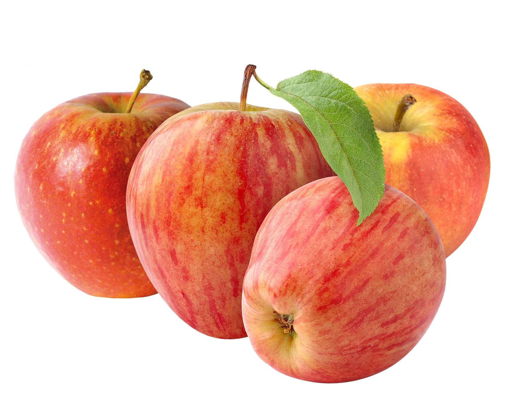 Äpfel verschiedene Sorten