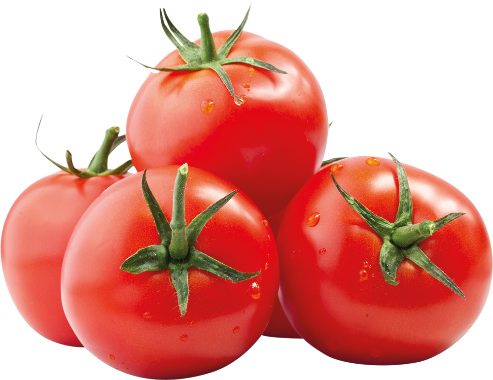 Strauchtomaten