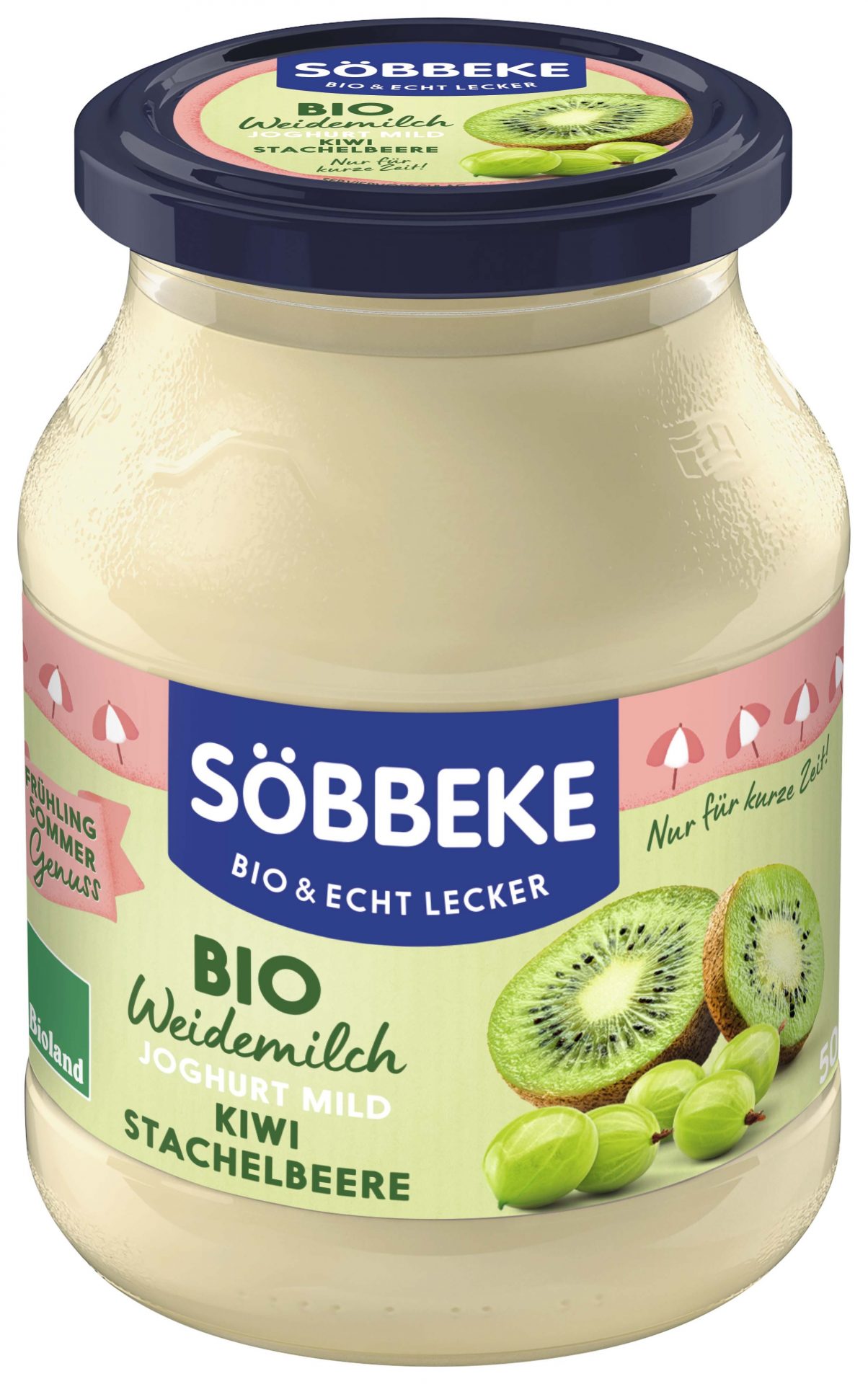 Joghurt Kiwi-Stachelbeere