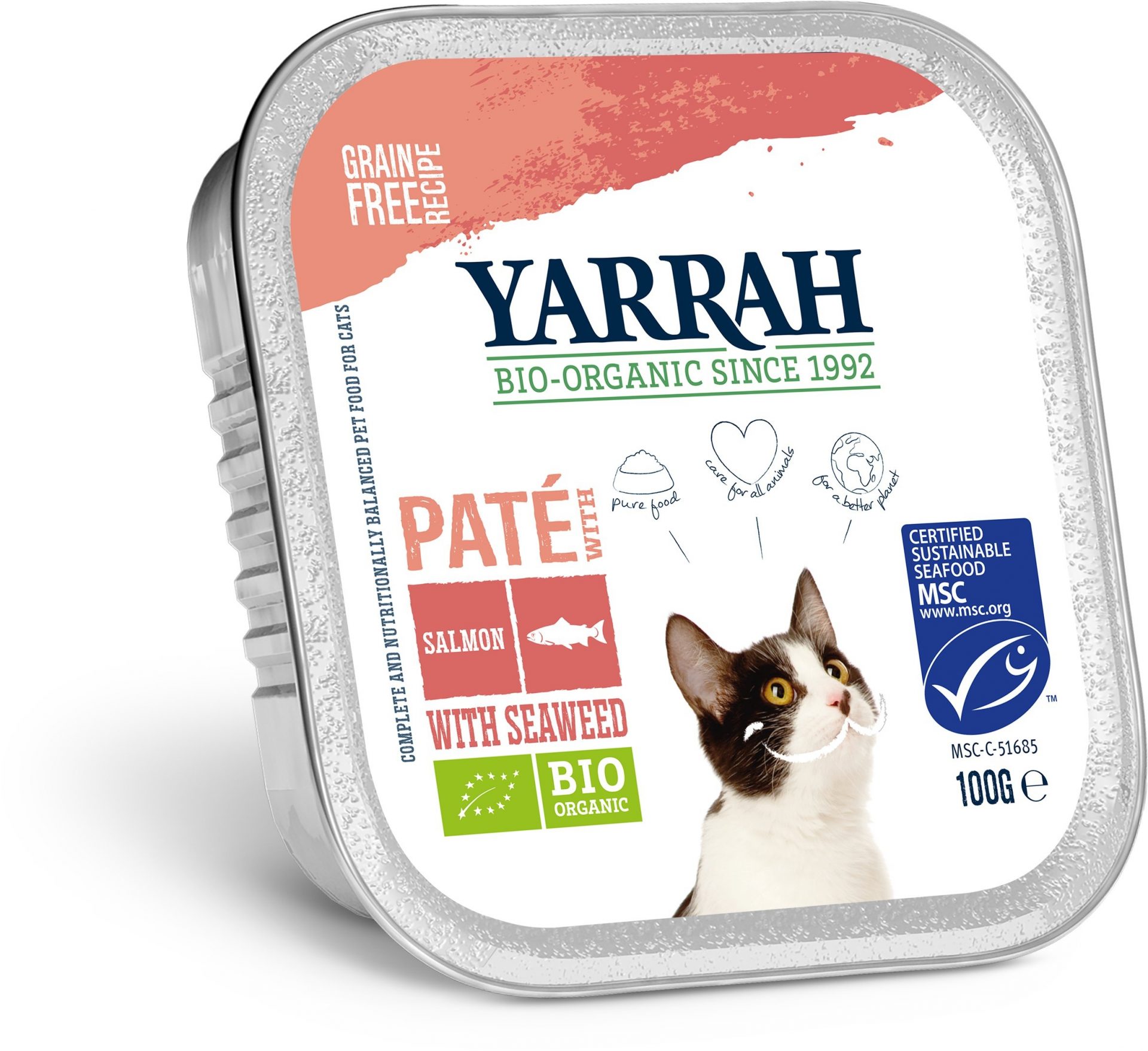 Paté Lachs Katze