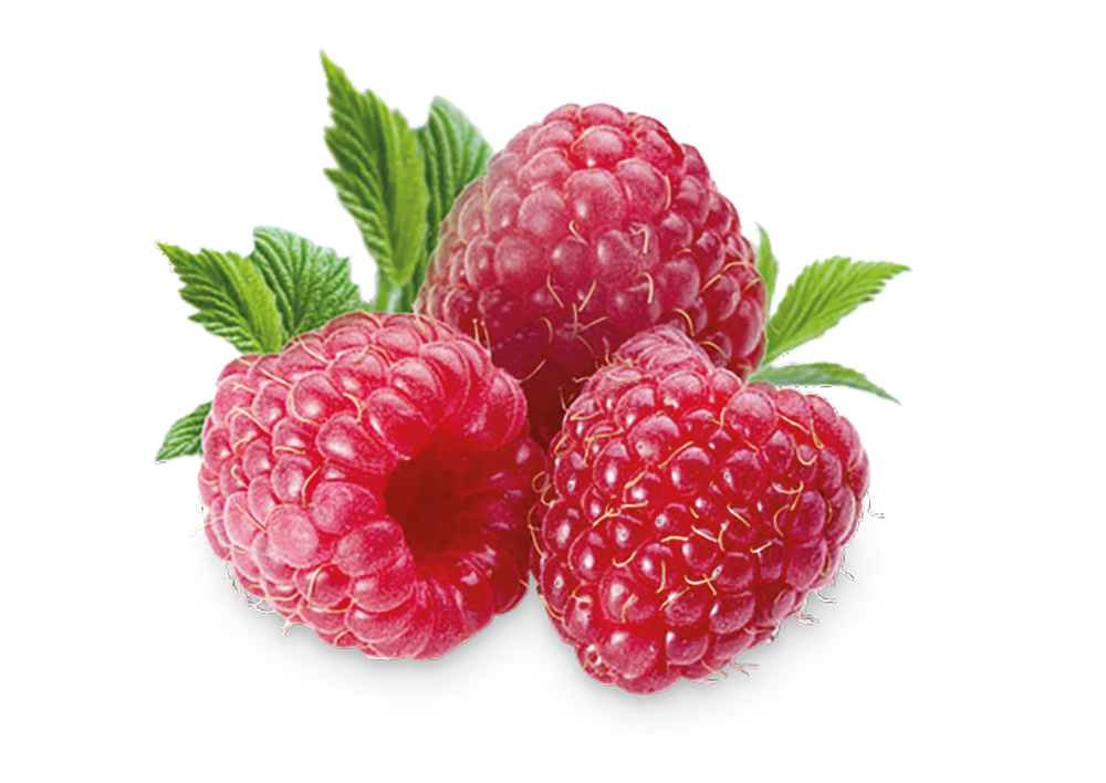 Himbeeren