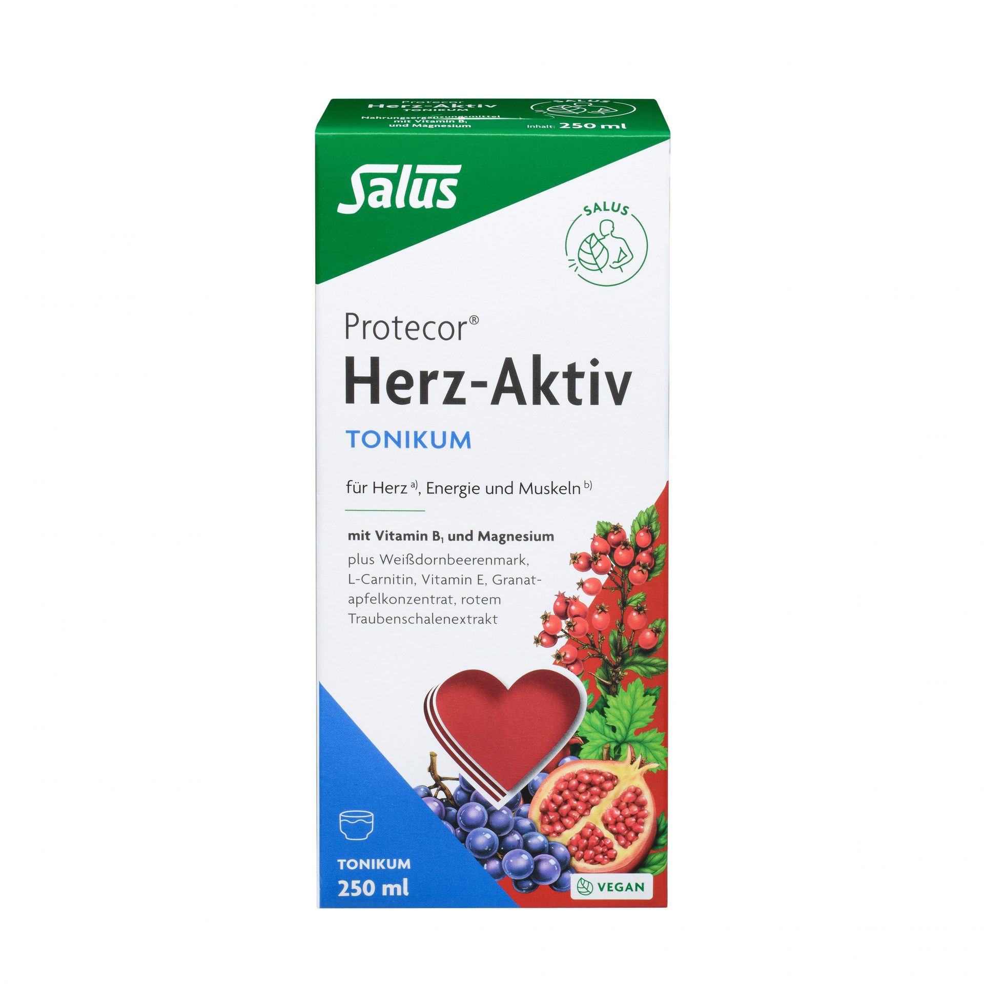 Protector Herz-Aktiv Tonikum