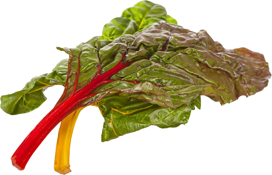 Red Chard (Baby-Mangold)