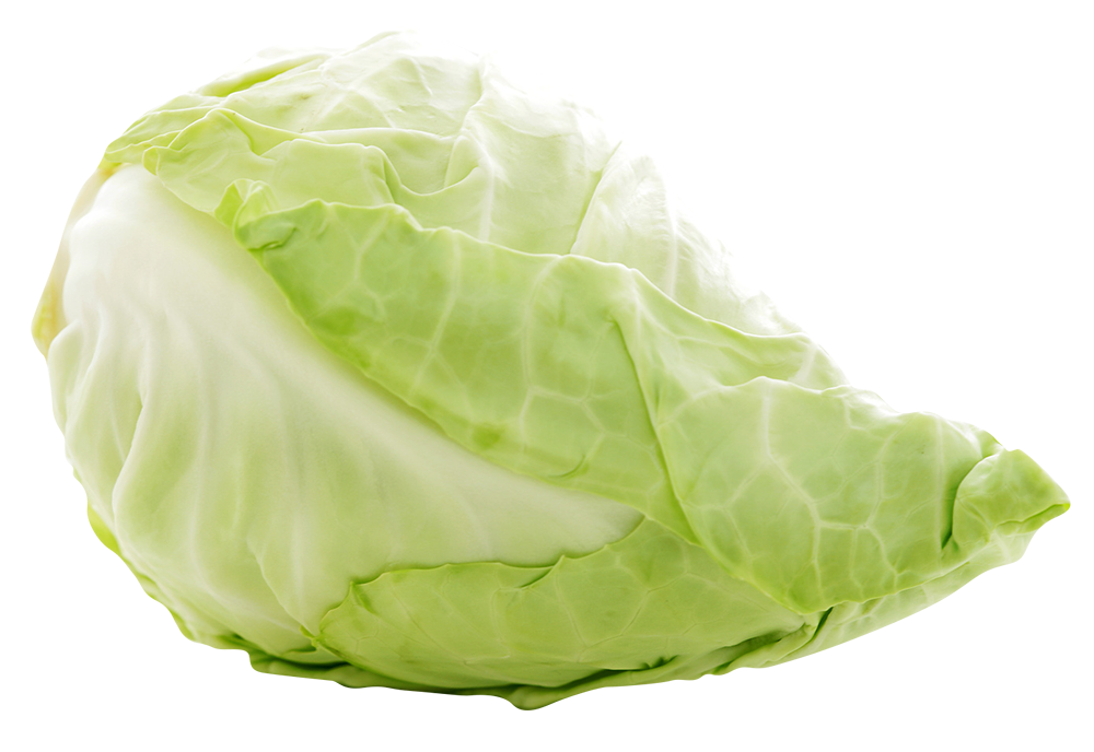Spitzkohl