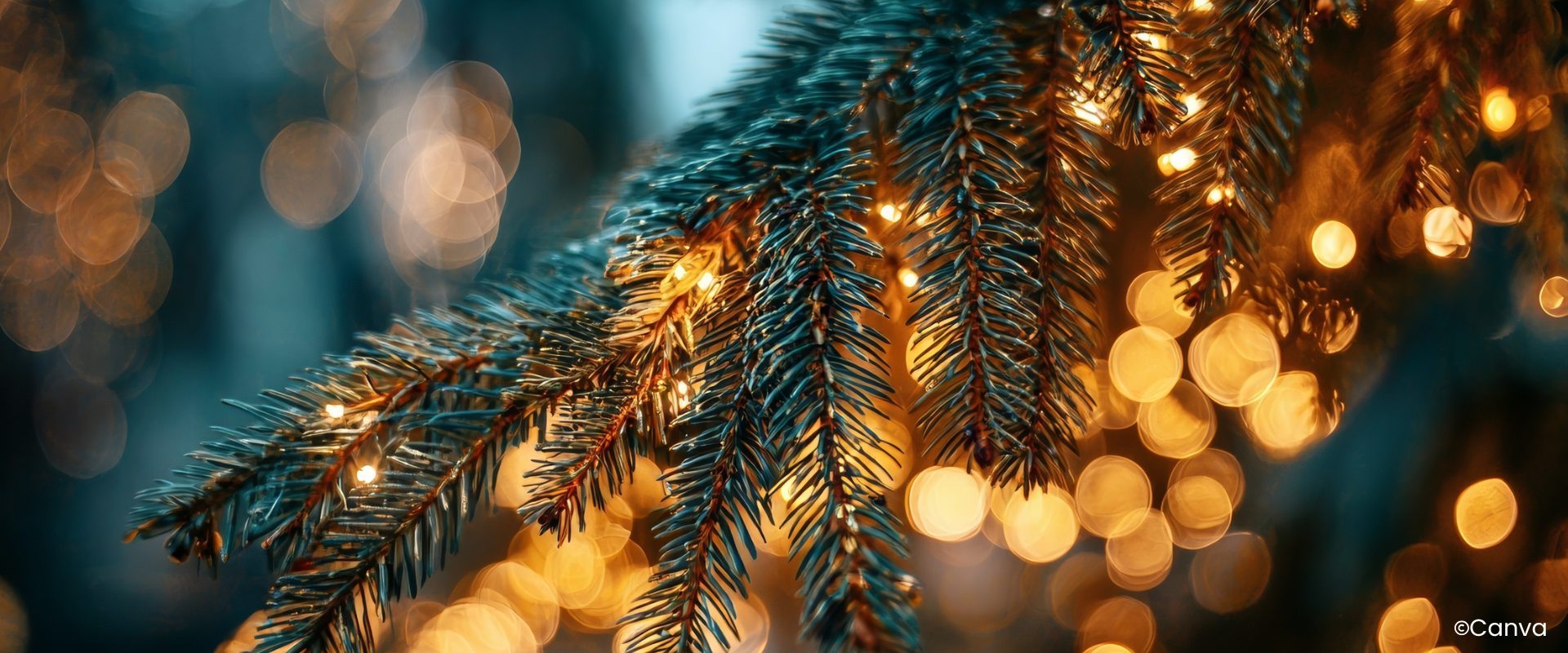 Gewinnspielseite_Weihnachten